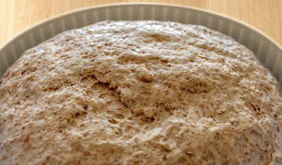 Food dough wholemeal leavened flours