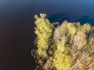 An island with dense trees on a forest lake in sunny weather. Aerial drone view.