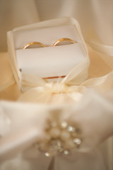Fototapeta na wymiar Wedding rings in a case
