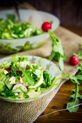 Spring salad from early vegetables, lettuce leaves, radishes and herbs in a plate on the table
