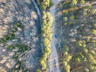 One isolated car on a road in a forest. Aerial drone view.