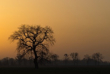 Fototapeta na wymiar wschód słońca niedaleko Wrocławia