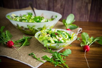 Spring salad from early vegetables, lettuce leaves, radishes and herbs in a plate on the table