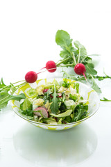 Spring salad from early vegetables, lettuce leaves, radishes and herbs in a plate isolated on white
