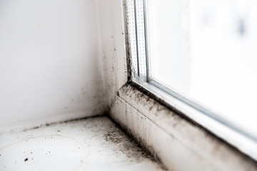 mold in the corner of the window.