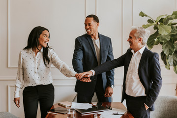Business partners shaking hands