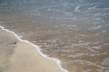 Fototapeta na wymiar 南国の砂浜のイメージ