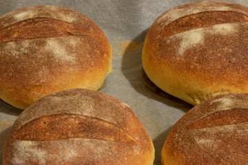 Pane cotto nel forno di casa