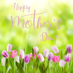 Tulip flowers and hand lettering text Happy Mothers Day