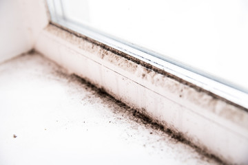 mold in the corner of the window.