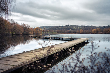 Lonely wooden footbridge in the middle of a German lake with flowering undergrowth in the foreground