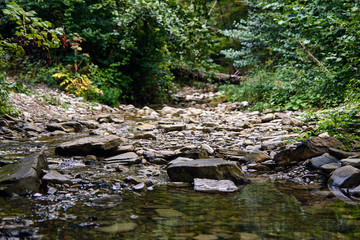 creek runs over stones in a mountain forest