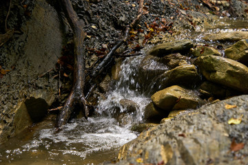 creek runs over stones in a mountain forest