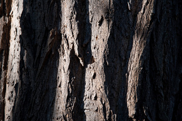Hintergrundbild