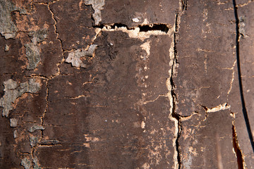 Hintergrundbild