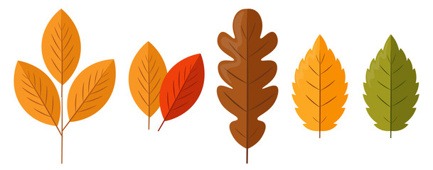 Hello autumn, autumn leaves, red berries and mushrooms flat, colored leaves isolated set, autumn elements vector illustration