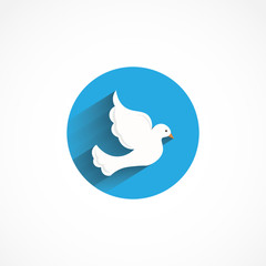 dove icon. white dove bird flat icon isolated on white background for web and mobile