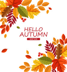 Hello autumn, autumn leaves flat, colored leaves isolated set, autumn elements vector illustration