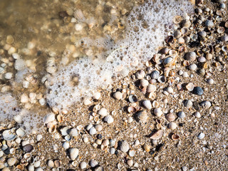 Sea shells, sand and rocks on the beach background