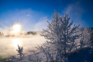 A frosty 40 below day on the Yukon River in Whitehorse, Yukon Territory in northern Canada. Frozen Yukon River, freezing cold, arctic. 