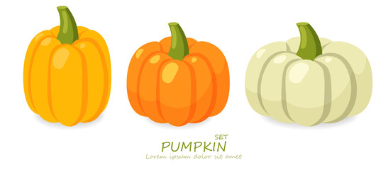 Hello autumn, flat pumpkin set autumn illustration