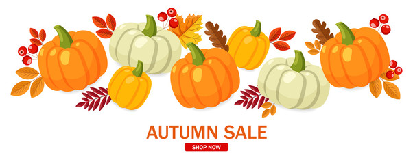 Hello autumn, sale banner, flat pumpkin set and colored leaves, autumn illustration
