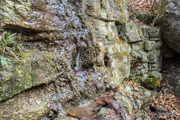 mountain stream flows over stones
