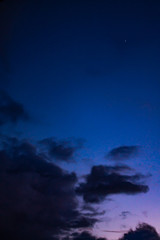 Fototapeta na wymiar night sky with clouds