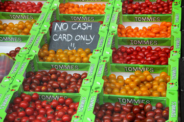 Cherry tomatoes of all colors