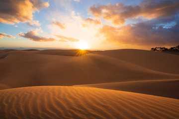 Obraz na płótnie Canvas Sunset in the desert, sun and sun rays, Beautiful clouds on blue sky. Golden sand dunes in desert in Maspalomas, Gran Canaria, Canary islands, Spain 