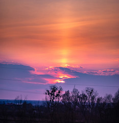 Sunset on the background of trees