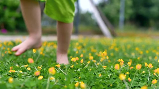Closeup little boy son playing outdoors runs on bright green beautiful grass with yellow flowers, outdoors at high angle feet of a small child who runs on the lawn near the house.