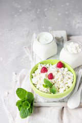 Organic farming cottage cheese with raspberry and mint, sour cream and milk.  Healthy food concept with organic dairy products.