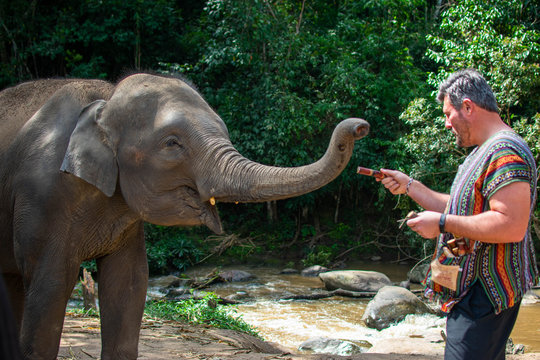 Man feeds a male Asian elephant sugar cane that he has in the pocket. 
 The elephant has his trunk extended and his mouth open.  At the elephant jungle sanctuary in north Thailand