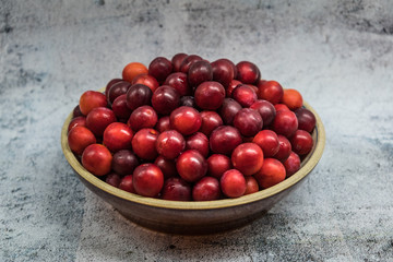 Bowl of Freshly Harvested Mirabelle Plums