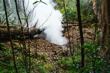 Fumaroles in the jungle at volcano Rincón de la Vieja