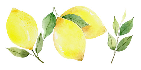 Fresh lemon fruits, collection illustrations lemon wreath Hello summer
