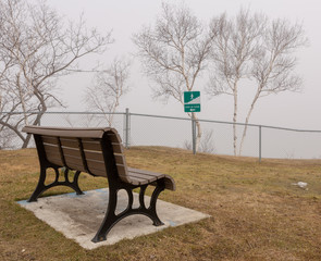 Bench in an empty field with trees in fog