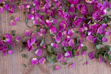 pink roses on a wooden background