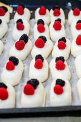 chess check with vanilla sauce. cheesecake with vanilla yogurt. piece of tasty vanilla cheesecake with berries