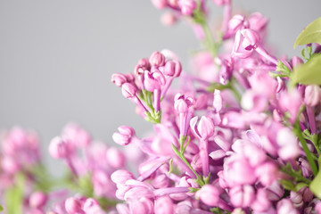 Closeup of lilac flowers. Spring bouquet in a wicker basket.. Learning flower arranging, making beautiful bouquets with your own hands. Flowers delivery