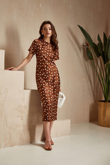 Fashion model brunette hair wear brown dots silk dress sandals high heels accessory  bag clothes...
