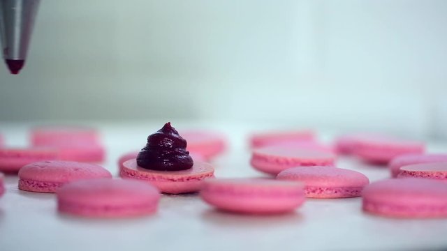 Process of making macaron macaroon, french dessert, squeezing the dough form cooking bag