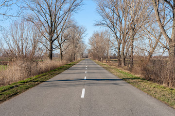 Fototapeta premium Road on the Great Hungarian Plain in Hungary