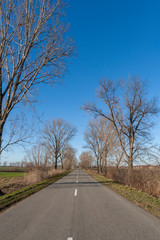 Fototapeta premium Road on the Great Hungarian Plain in Hungary
