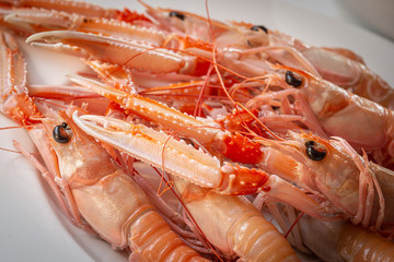 Scampi crudi