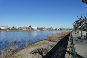 Rheinufer, Rheinstrand und Blick nach Bonn am Rhein