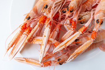 Scampi crudi