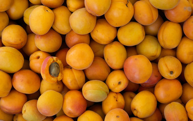 Macro Photo food tropical fruit apricot. Texture background of sweet yellow ripe apricots. Image food fruit apricots. Close-up