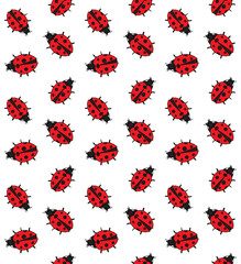 Vector seamless pattern of colored hand drawn doodle sketch ladybug isolated on white background